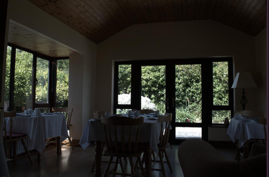 Old Orchard Lodge B&B Rosslare Harbour Екстер'єр фото
