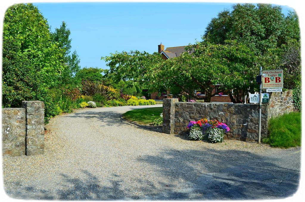 Old Orchard Lodge B&B Rosslare Harbour Екстер'єр фото